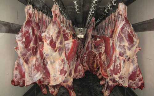 Документы необходимые для перевозки мяса