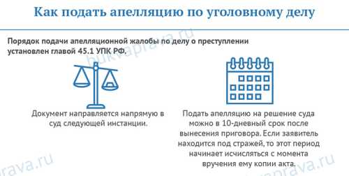 Как написать апелляционную жалобу на решение суда, сроки подачи и рассмотрения, образец 2019 года - Юрист 911