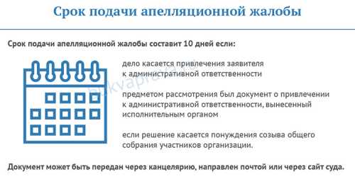 Как написать апелляционную жалобу на решение суда, сроки подачи и рассмотрения, образец 2019 года - Юрист 911