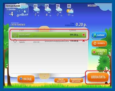 Как оплачивать через Qiwi кошелек? Подробная инструкция