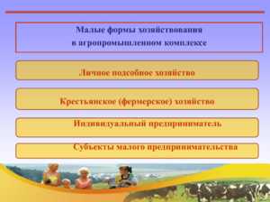 Крестьянское хозяйство