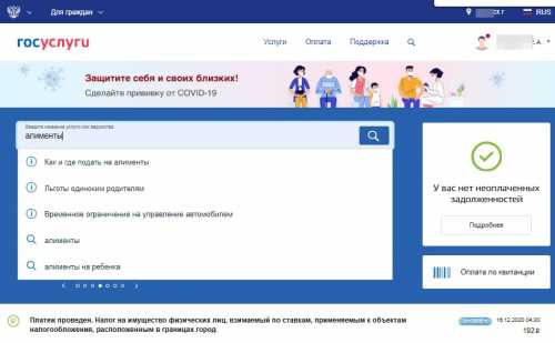 Могу ли я подать заявление на алименты через Госуслуги?