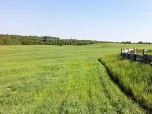 Понятие невостребованной доли