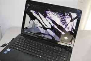 Проведение экспертизы