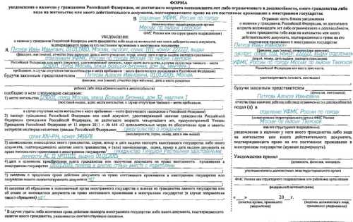 Уведомление о двойном гражданстве в 2022 году: образец заполнения