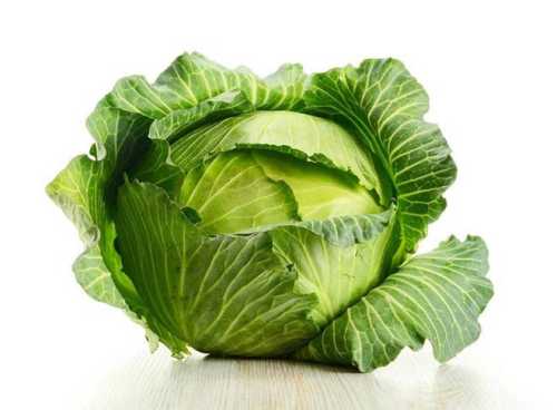 Заключение